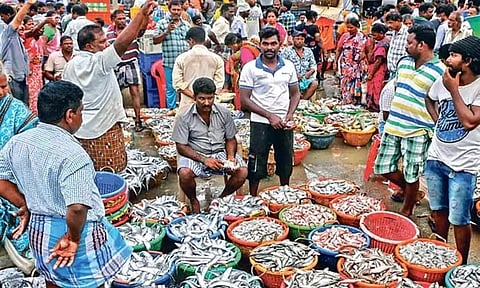 Rs 4 crores more alloted for the Loop Road fish market