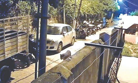Leopard caught on CCTV at a thickly populated residential locality in Coonoor