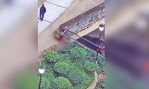 A videograb showing the boy throwing the puppy