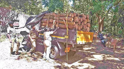 Forest staff with seized truck in the Nilgiris