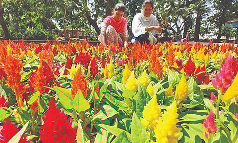 Representative image