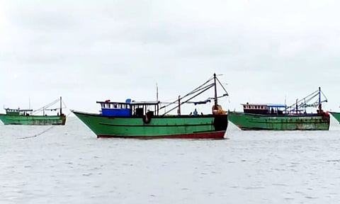 Representative image (ANI)