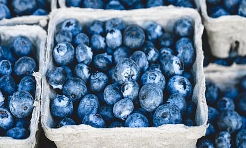 Representative Image (ANI)