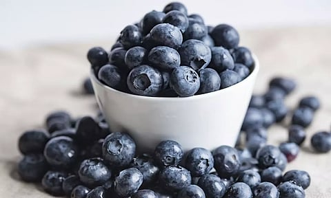 Researchers explain why blueberries are blue in colour