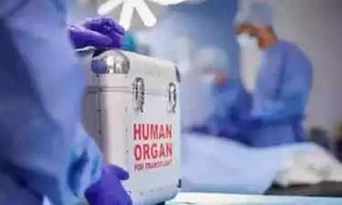 80% of organ transplants between 1995 & 2021 were on men: Govt data