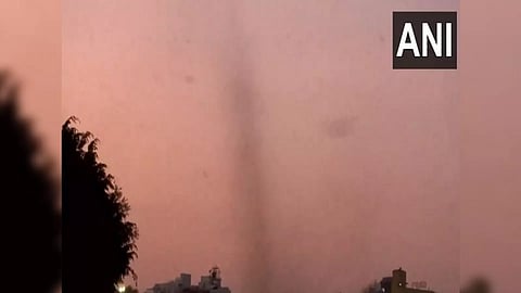 Swarm of mosquitoes form 'tornado' in areas of Pune (Image/ANI)