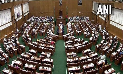 Representative Image (ANI)