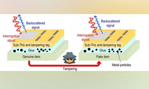 Representative Image (IANS)
