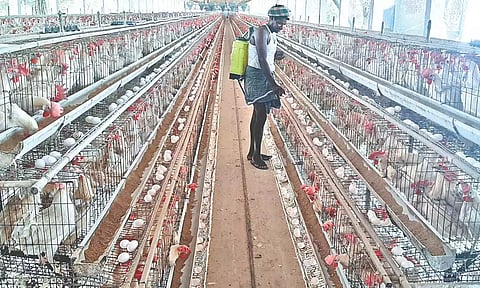 Representative image