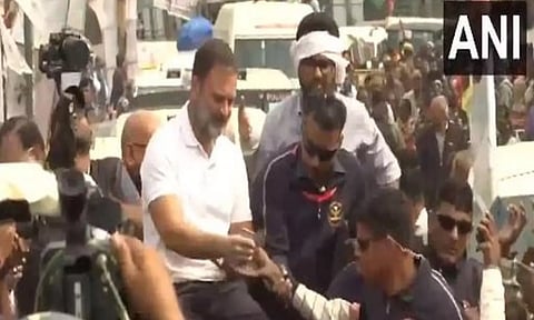 Congress leader Rahul Gandhi (ANI)