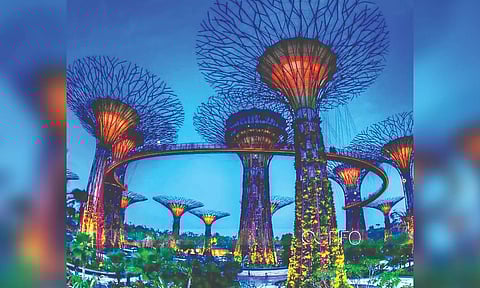 Model of a super tree tower park