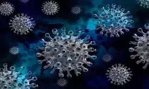 Representative image (IANS)