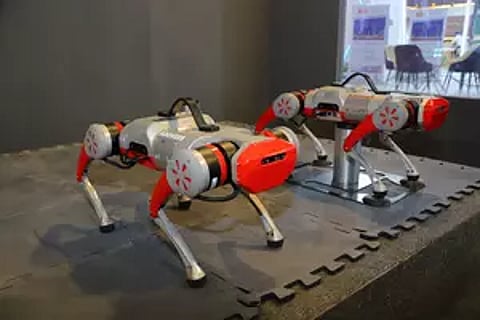 Dog Robot