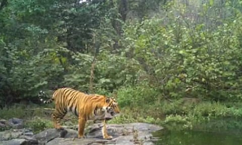 Representative Image (IANS)