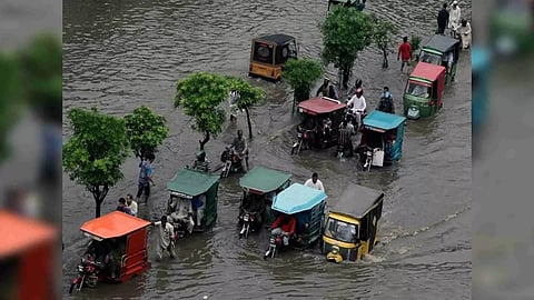 Representative Image (Photo/ANI)