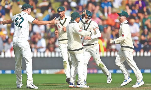 Australian players celebrate Kane Williamson’s wicket 