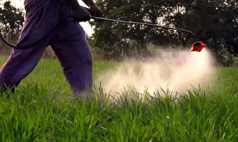 Representative Image (PTI)