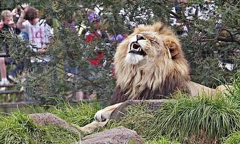 Representative Image