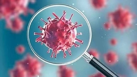 Representative Image (IANS)