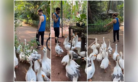 Kartik Aaryan playing with ducks