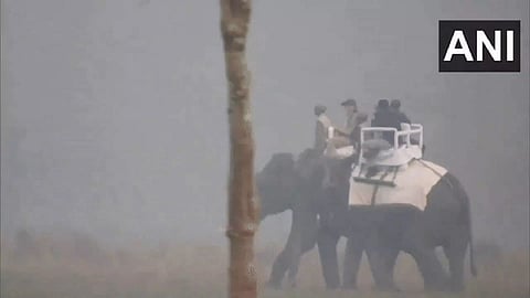 PM Modi at Kaziranga National Park (Photo/ANI)