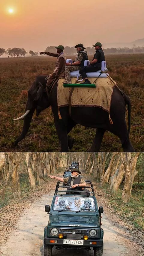 On his first visit to the UNESCO World Heritage Site, Prime Minister Narendra Modi first went on an elephant safari in the Mihimukh area of the Central Kohora Range of the park and then he took a jeep safari within the same range.