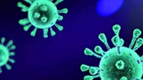 Representative Image (IANS)