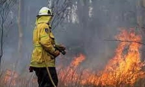 Representative Image (IANS)