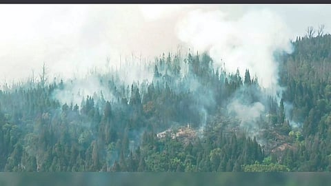 Smoke billows out of the forest as the forest department struggles to douse it