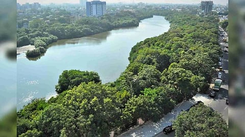 Adyar river