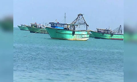 Representative image (ANI)