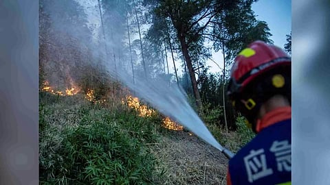 Representative Image (Photo: Reuters)