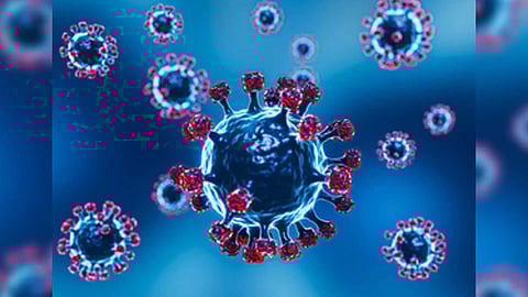 Representative Image (Photo/IANS)