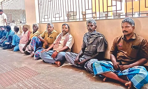 Cattle traders on Erode Collector office premises