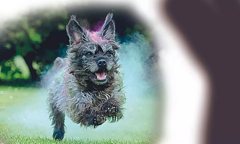 Representative Image