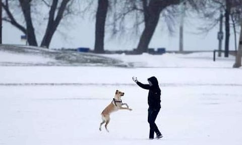 Representative Image (IANS)