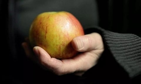 Representative Image (IANS) 