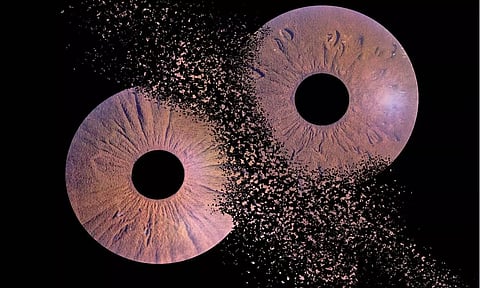 Pictures of the iris