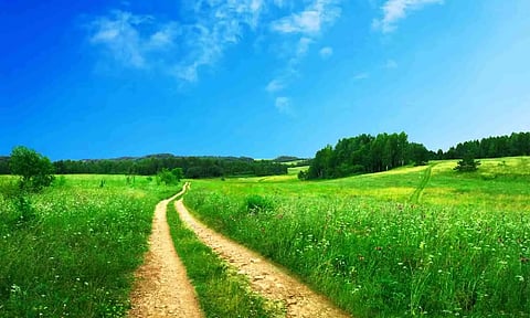 Representative image of Spring season (Unsplash)