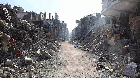  Representative Image (Photo/ANI)