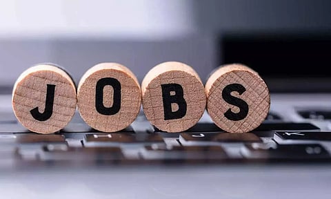 Intent to hire freshers in media and entertainment industry saw 3 pc decline in Jan-Jun 2024: Report