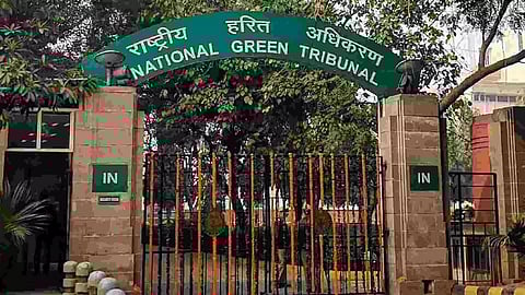 Nation Green Tribumal