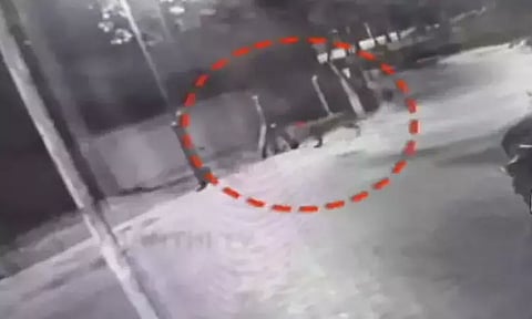 Visual from the spot