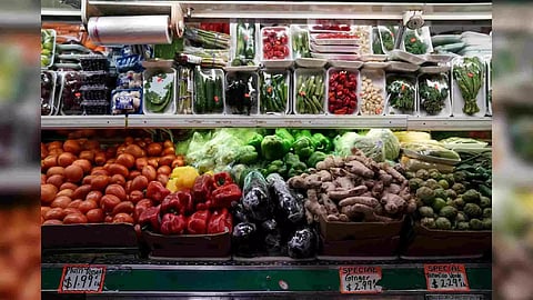 Representative Image (Photo/ANI)