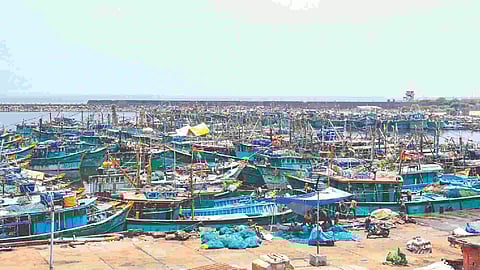 Hundreds of boats docked at the Kasimedu fishing harbour on Sunday evening (Photo: Hemanathan M)