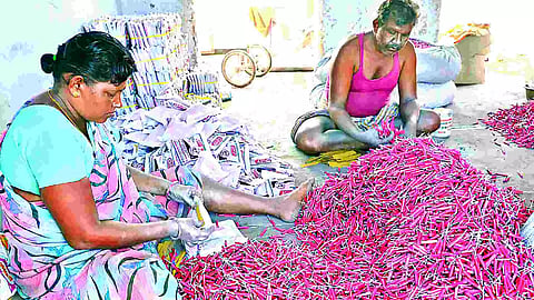 Sivakasi crackers