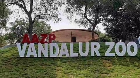 Arignar Anna Zoological Park in Vandalur