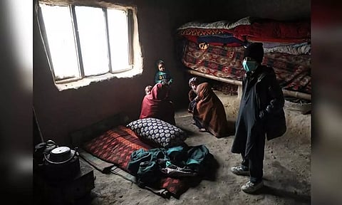 Representative Image (ANI)