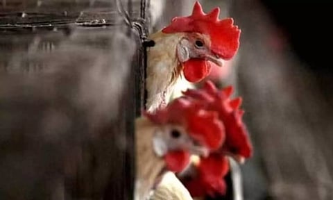 Representative image (PTI)