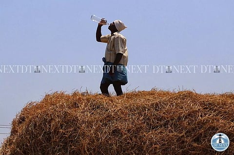 A labourer quenching his thirst (Photo: Justin George)